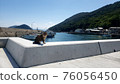 Harbor and cat 76056450