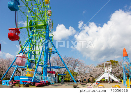 Sakura and Ferris wheel at Shiroyama Park in Kirishima City, Kagoshima Prefecture Sakura and Ferris wheel at Shiroyama Park in Kirishima City, Kagoshima Prefecture 76056916