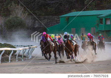 Saga horse racing 76057028