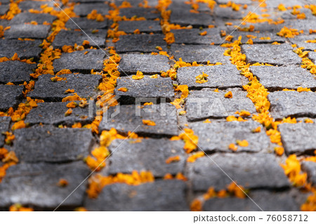 Paving stones spangled with yellow flowers (Selective focus) Paving stones spangled with yellow flowers (Selective focus) 76058712