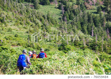 在八甲田登山路線上行走的登山者 76059484