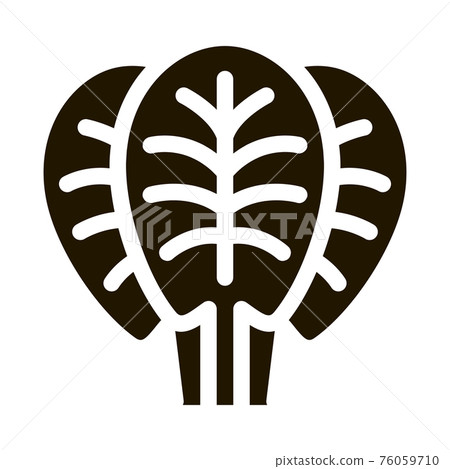 spinach leaves icon Vector Glyph Illustration 76059710