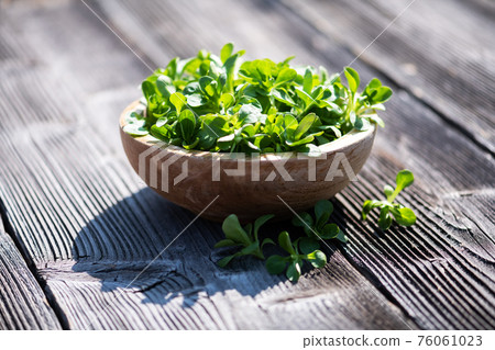 Corn salad on a round wooden plate Corn salad on a round wooden plate 76061023