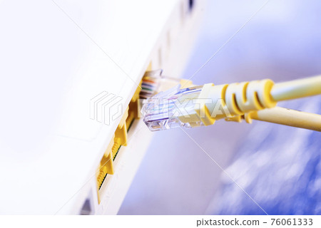 Two network cables connected to the hub 76061333