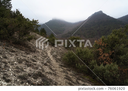 Trail without people going through winter forest. There are no leaves on trees. Sun casts a shadow from trunks on path Trail without people going through winter forest. There are no leaves on trees. Sun casts a shadow from trunks on path 76061920