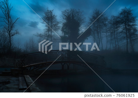 Dark scary park at night. Silhouettes of trees appear from the fog. Ghost bridge in the center of the frame Dark scary park at night. Silhouettes of trees appear from the fog. Ghost bridge in the center of the frame 76061925