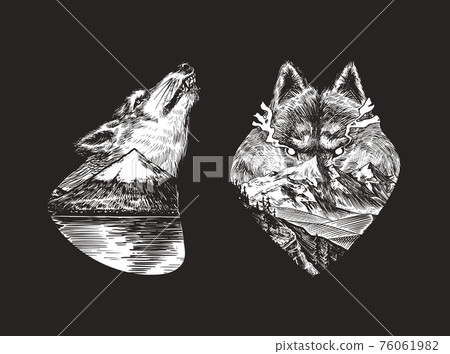 Gray wolf logo and badge. Forest and mountain and hill. Double exposure Concept. A predatory beast 76061982