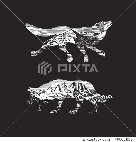 Gray wolf logo and badge. Forest and mountain and hill. Double exposure Concept. A predatory beast Gray wolf logo and badge. Forest and mountain and hill. Double exposure Concept. A predatory beast 76061992