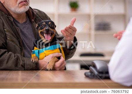 Young male doctor vet examining dog in the clinic 76063792