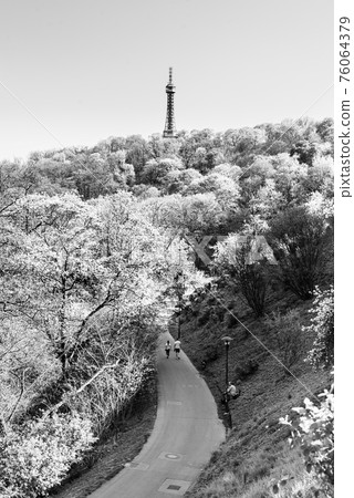 Petrin lookout tower in Prague Petrin lookout tower in Prague 76064379