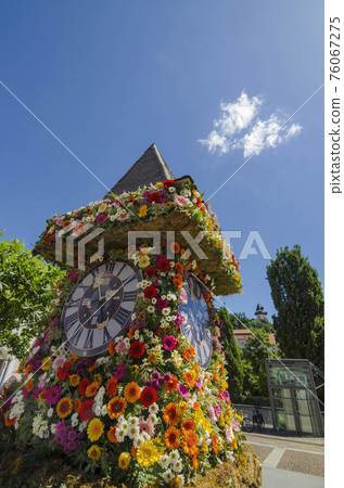 The famous clock tower, one of the city of Graz attractions, made of flowers and the real Clock Tower (Grazer Uhrturm) in the background in Styria region, Austria, in sunny spring day 76067275