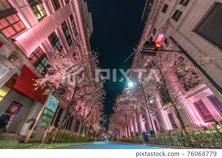 Tokyo cityscape of Japan, illuminated in pink on Edozakura-dori. The cherry blossoms in full bloom are dyed pink 76068779
