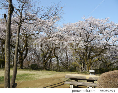 Sakuragaoka Park Hilltop Square 76069294