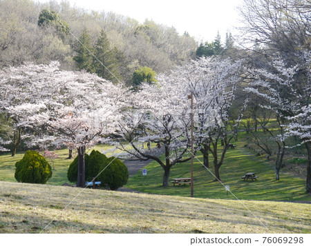 Sakuragaoka Park Hanamizaka 76069298