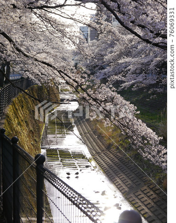 Kotta River near Tama Center Station (Sanno Bridge) Kotta River near Tama Center Station (Sanno Bridge) 76069331