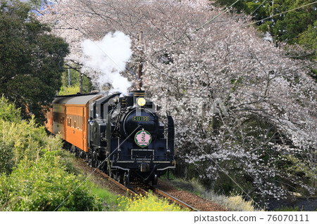 Spring Oigawa Railway SL 76070111