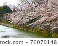Cherry blossoms along the river full bloom 76070148