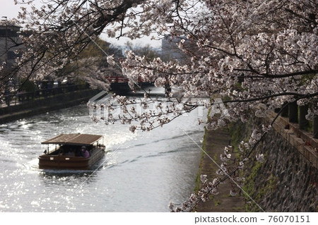 河、船、櫻花盛開 河、船、櫻花盛開 76070151