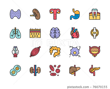 Set of Human Organs Flat Color Icons. Spleen, Stomach, Lungs, Heart and more. Set of Human Organs Flat Color Icons. Spleen, Stomach, Lungs, Heart and more. 76070155
