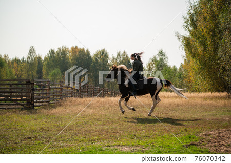 A pretty girl came to the country equestrian club and rides a horse through the fields in the fall A pretty girl came to the country equestrian club and rides a horse through the fields in the fall 76070342