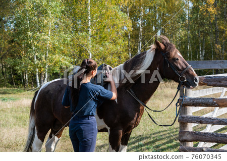 A young farm worker takes care of a horse and cleans it in the fresh air next to the stable A young farm worker takes care of a horse and cleans it in the fresh air next to the stable 76070345