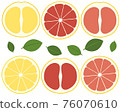grapefruit  76070610