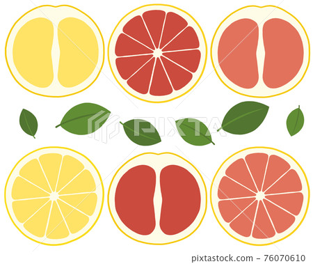grapefruit  76070610