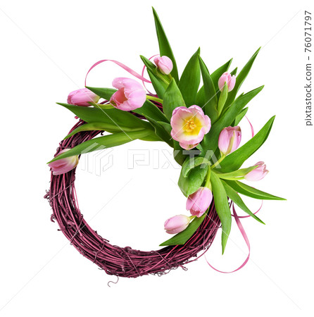 Pink tulip flowers and satin ribbon in a floral arrangement with rattan round frame isolated on white 76071797