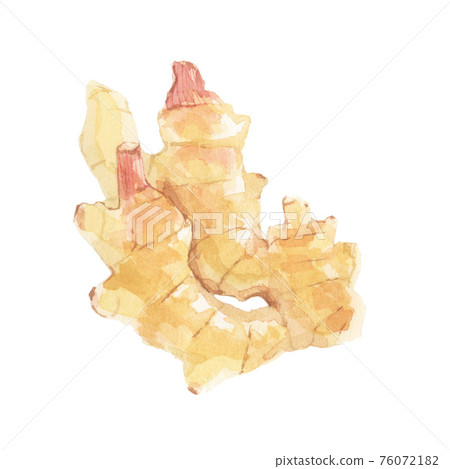 New ginger watercolor illustration 76072182