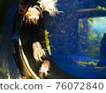 水族館裡的水母 76072840
