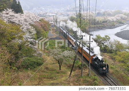 Spring Oigawa Railway SL 76073331