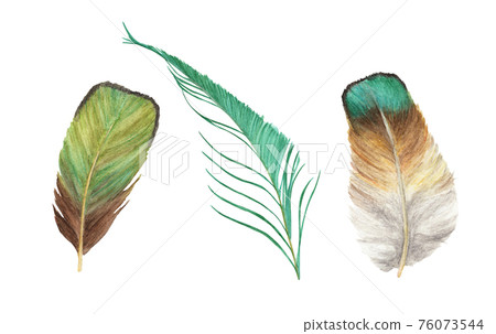 Vibrant feather set. Watercolor illustration. Vibrant feather set. Watercolor illustration. 76073544