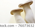 king oyster mushroom 76073632
