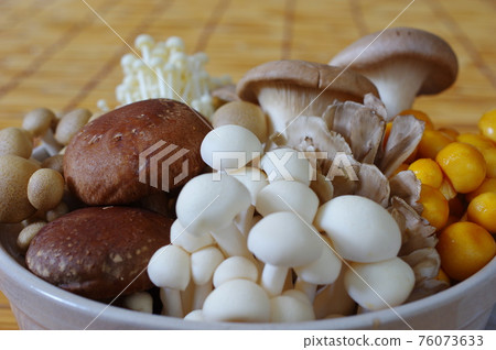 Various mushrooms 76073633