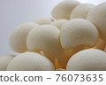 Bunapi (close-up) 76073635