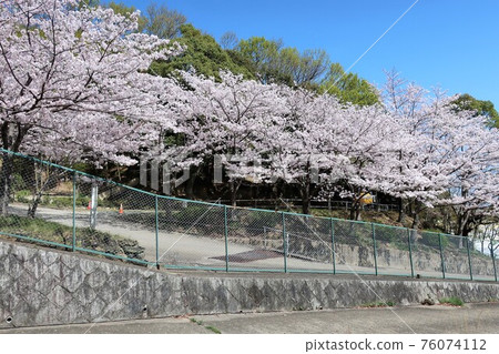 Reihokai Headquarters Buddhist Pagoda Management Office Reihokai Headquarters Buddhist Pagoda Management Office 76074112