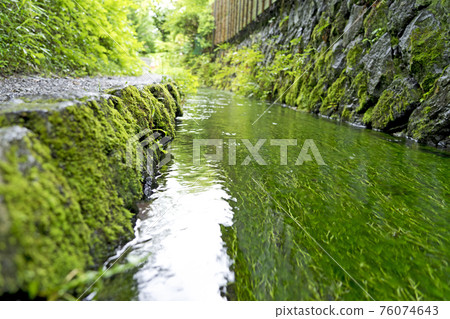 Country Ogawa 76074643