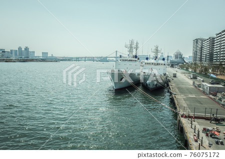 從豐洲大橋看到的晴海奧運村公寓 從豐洲大橋看到的晴海奧運村公寓 76075172