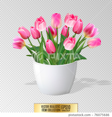 Bouquet of pink tulips in vase isolated on... - Stock Illustration ...