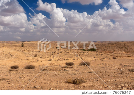 vast expanses of desert terrain, covered with rare vegetation vast expanses of desert terrain, covered with rare vegetation 76076247