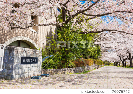 東京都立大學南大澤校區 76076742