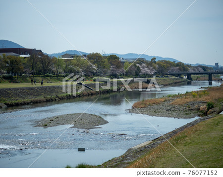 鴨川的景色 鴨川的景色 76077152
