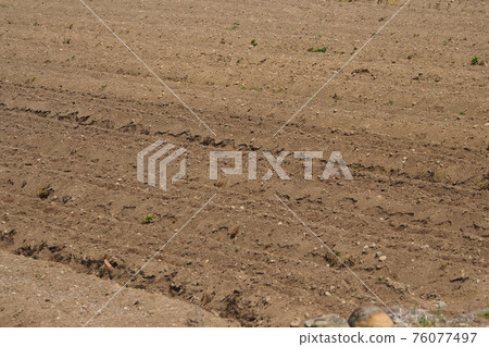 Agricultural image (field) Agricultural image (field) 76077497