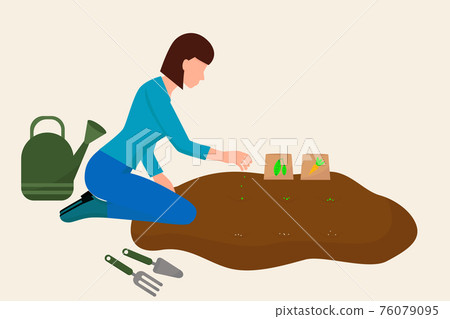 The girl is planting a vegetable garden. A young woman is engaged in agriculture. Spring sowing of seeds. Vector, concept. The girl is planting a vegetable garden. A young woman is engaged in agriculture. Spring sowing of seeds. Vector, concept. 76079095
