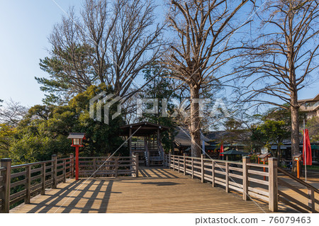 Tokyo, Setagaya walk, Todoroki Valley Park, Todoroki Fudosonmeiouin 76079463