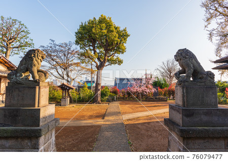 Walk in Tokyo, 2-chome, Oyamadai, Setagaya-ku, Usa Shrine Hachimanzuka Kofun Walk in Tokyo, 2-chome, Oyamadai, Setagaya-ku, Usa Shrine Hachimanzuka Kofun 76079477