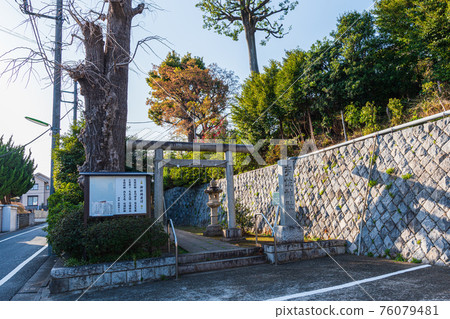 Walk in Tokyo, 2-chome, Oyamadai, Setagaya-ku, Usa Shrine Walk in Tokyo, 2-chome, Oyamadai, Setagaya-ku, Usa Shrine 76079481