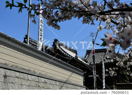 春天大地院知多四國聖地七十一番不正宗 76080651