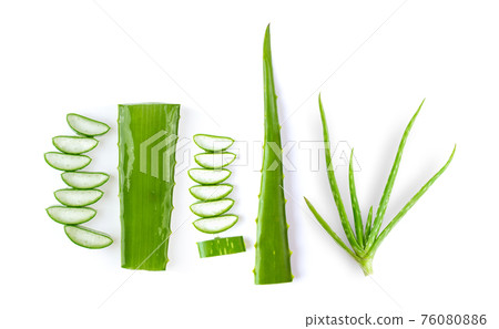 aloe vera isolated on white background aloe vera isolated on white background 76080886