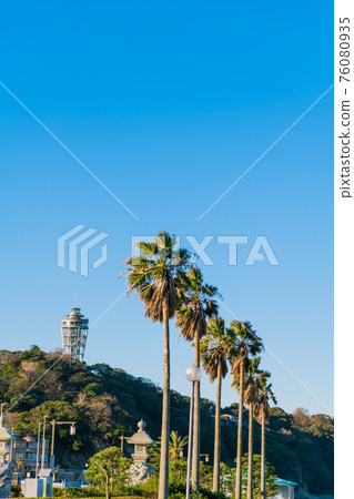 [江之島弁天橋和棕櫚樹，背後的海蠟燭] 76080935